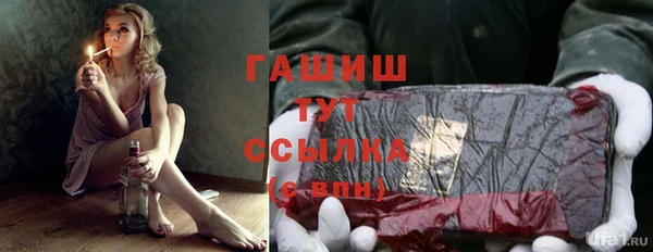 сатива Володарск