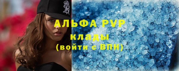 сатива Володарск
