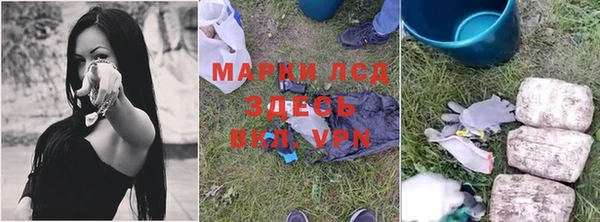 сатива Володарск