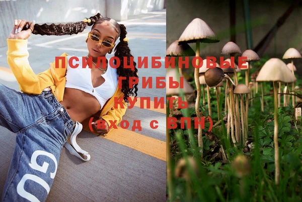сатива Володарск