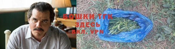 сатива Володарск