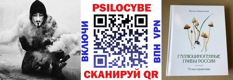 Галлюциногенные грибы Psilocybine cubensis  Новочеркасск 